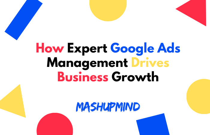 Google Ads Management