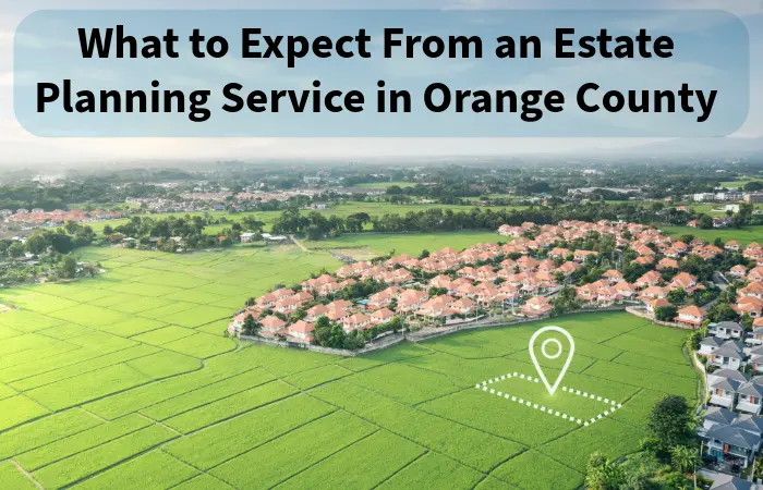 Estate Planning Service